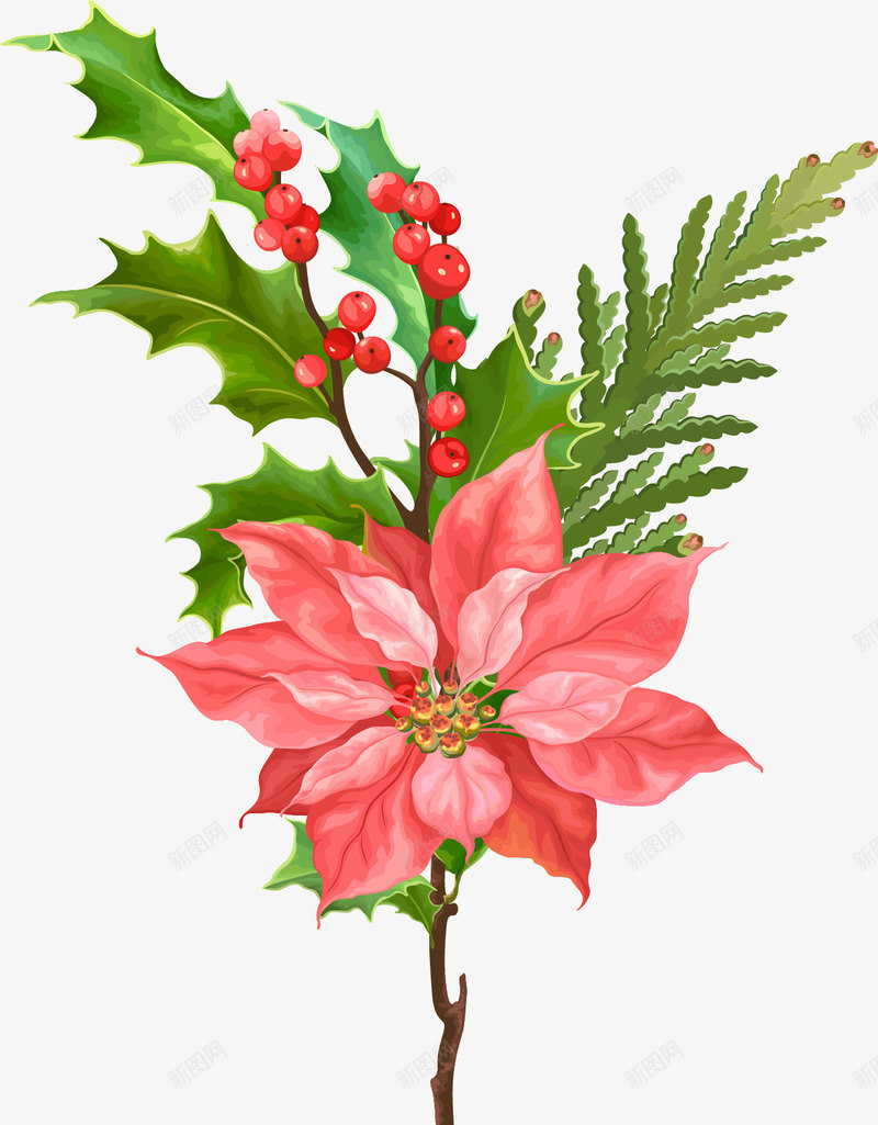圣诞节彩绘图案png免抠素材_新图网 https://ixintu.com 卡通 叶子 圣诞节 圣诞节素材 墙绘 宣传 手绘 松果 树枝 棕色 海报 点缀 红色 绿色 背景 节日 节日素材 花 花环 装饰 铃铛 鸟
