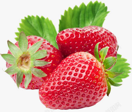 新鲜红色草莓水果png免抠素材_新图网 https://ixintu.com 新鲜 水果 红色 草莓
