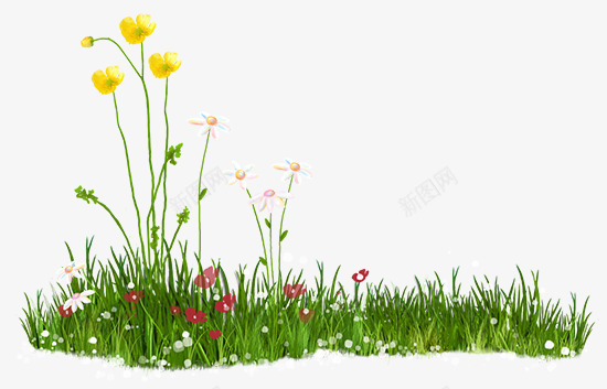 清新花朵草丛png免抠素材_新图网 https://ixintu.com 唯美 春天 清新 花朵草坪