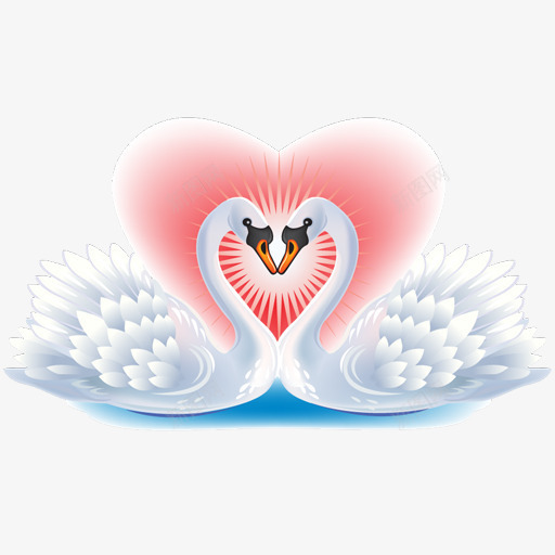 情人节七夕婚礼爱情白色成双天鹅爱心png免抠素材_新图网 https://ixintu.com 天鹅 婚礼 情人 爱心 爱情 白色