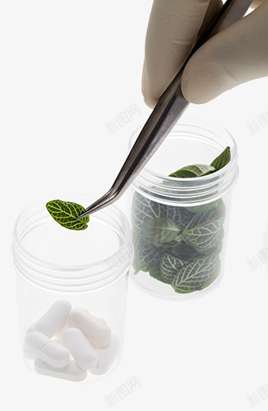 植物培养基psd免抠素材_新图网 https://ixintu.com 瓶子 生物技术 生物研究 镊子