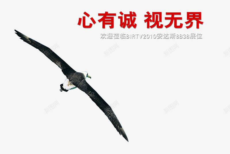 展位海报png免抠素材_新图网 https://ixintu.com 展位 文字 海报 老鹰