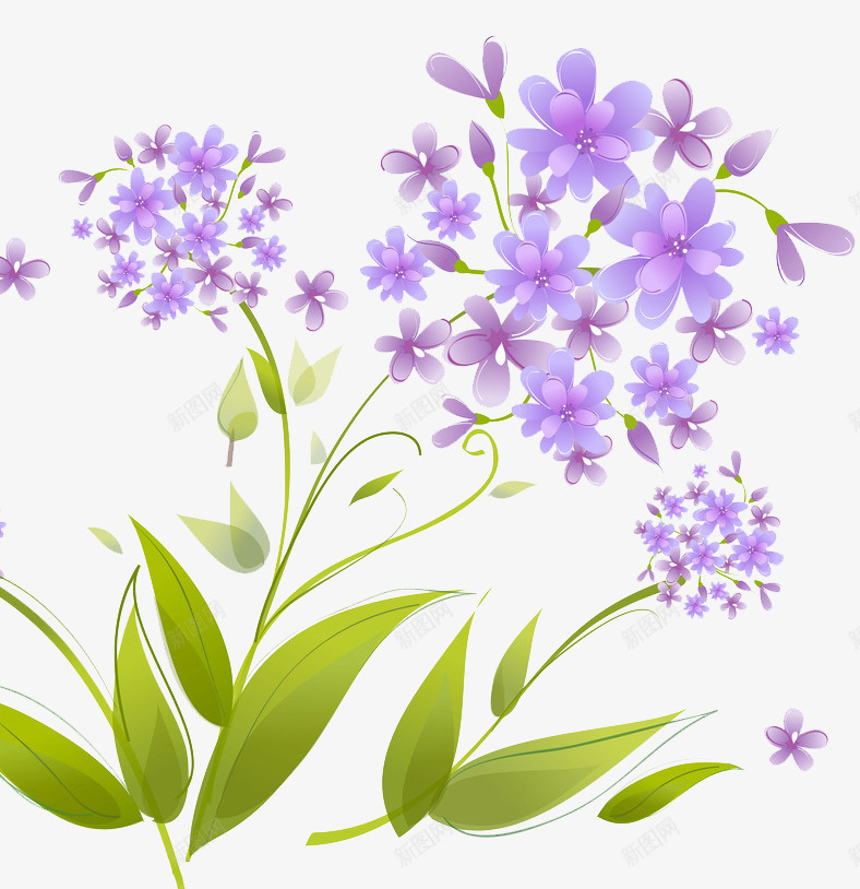装饰手绘花png免抠素材_新图网 https://ixintu.com 手绘 碎花 紫花 绿叶 飘瓣