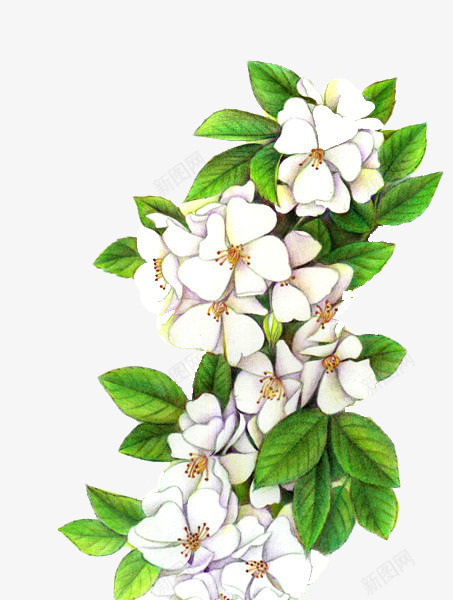 质感效果花朵涂鸦插画png免抠素材_新图网 https://ixintu.com 插画 效果 涂鸦 花朵 质感