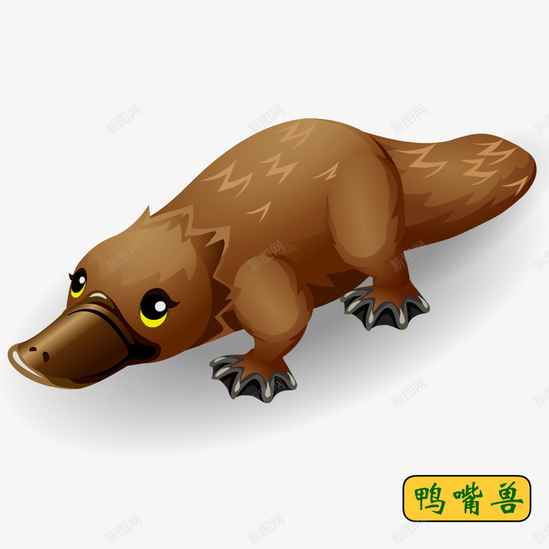 手绘鸭嘴兽png免抠素材_新图网 https://ixintu.com 动物 幼教 手绘 鸭嘴兽