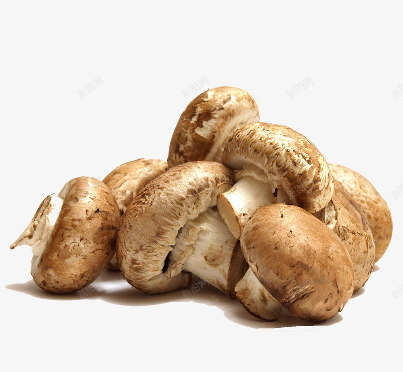 蘑菇png免抠素材_新图网 https://ixintu.com 3 可口 可爱香菇 摄影 美食 蔬菜 蘑菇 蘑菇图片免费下载 食材 食物原料 食用菌 餐饮美食 香菇
