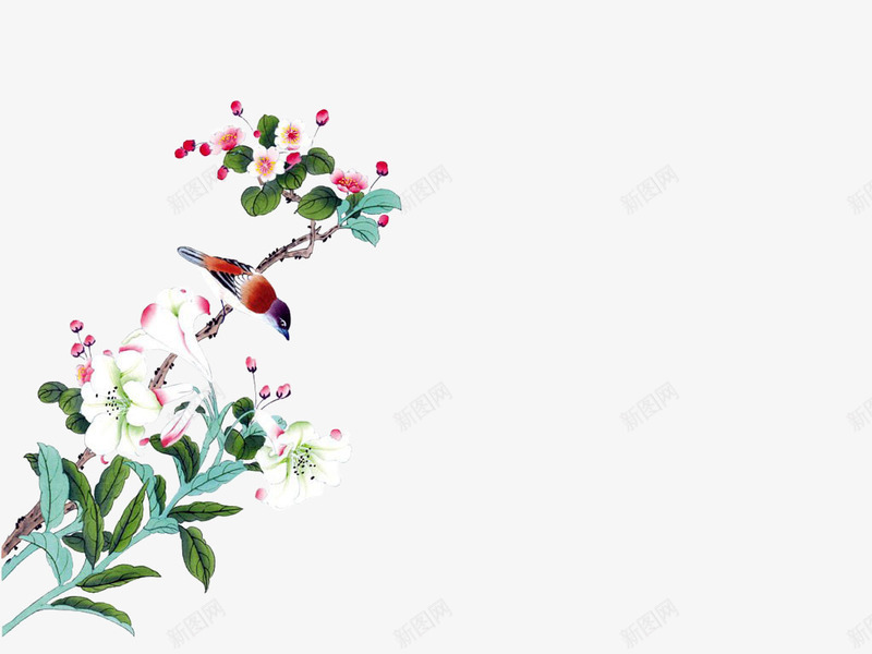 树枝上的喜鹊png免抠素材_新图网 https://ixintu.com 喜鹊 手绘 桃花 粉色花朵 绿叶 鸟儿