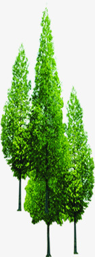 春季树木园林景观植物png免抠素材_新图网 https://ixintu.com 园林 春季 景观 树木 植物