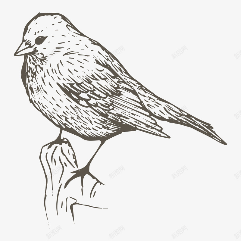 卡通麻雀png免抠素材_新图网 https://ixintu.com 卡通动物 卡通麻雀 树木树枝 翅膀 装饰图 飞行动物