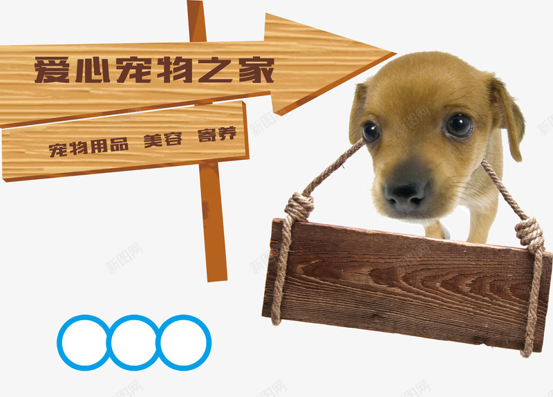 爱心宠物店宣传单psd免抠素材_新图网 https://ixintu.com 宠物店宣传单 宠物用品 宠物美容 寄养 洗澡 爱心 牌子