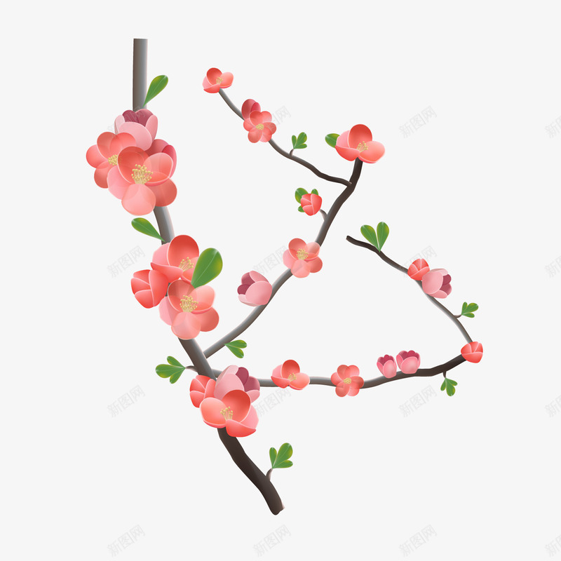 卡通桃花png免抠素材_新图网 https://ixintu.com PNG图 PNG图下载 创意卡通 卡通 卡通插图 小红花 插图 桃枝 桃花