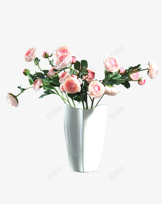 植物png免抠素材_新图网 https://ixintu.com 产品实物 盆景 盆栽 绿色 绿色植物 花盆 装饰 阳台盆栽
