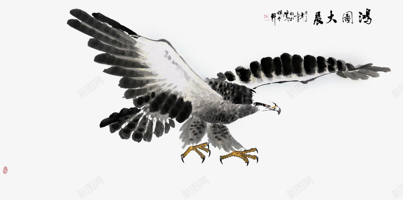 中国风水墨鹰png免抠素材_新图网 https://ixintu.com 中国风水墨画 水墨丹青 水墨鹰 老鹰