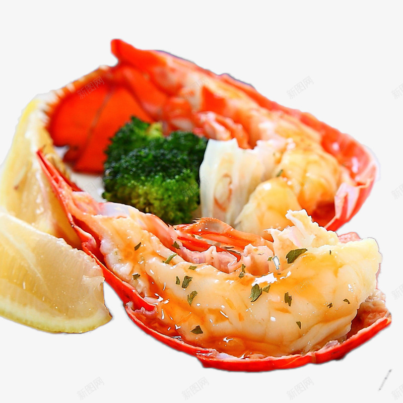 美味滑嫩波士顿龙虾png免抠素材_新图网 https://ixintu.com 娉椤块緳铏 娴烽矞 婊戝 榫欒櫨