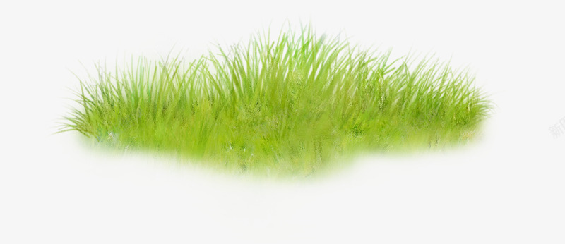 一片绿草地png免抠素材_新图网 https://ixintu.com 小草 植物 绿色 绿草