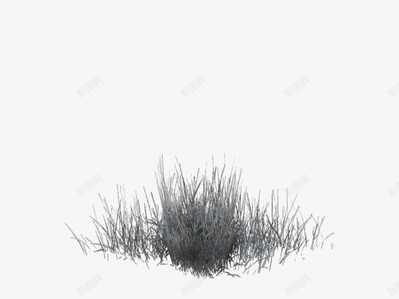 冬草png免抠素材_新图网 https://ixintu.com 冬天元素 小草 枯草 植物