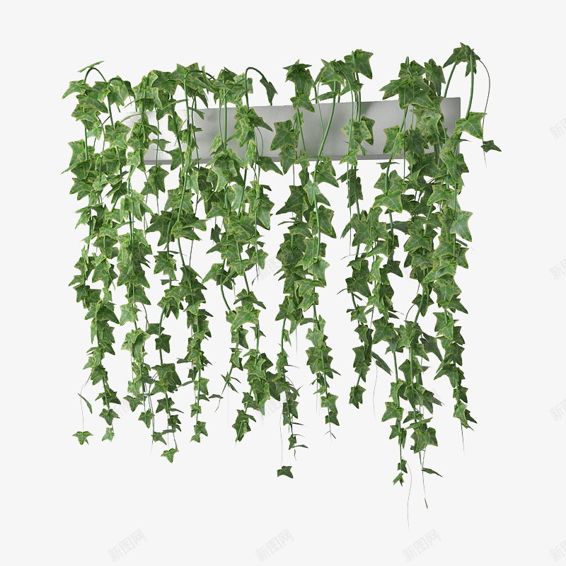 一簇阳台绿色藤蔓垂吊植物png免抠素材_新图网 https://ixintu.com 一簇阳台绿色藤蔓垂吊植物 叶子 垂吊植物 绿色 绿色垂吊植物 绿色植物