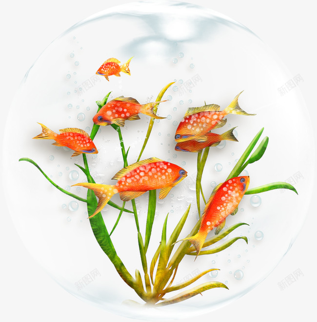 水泡png免抠素材_新图网 https://ixintu.com 气泡 水底生物 水泡 泡泡 海草 鱼 鱼缸