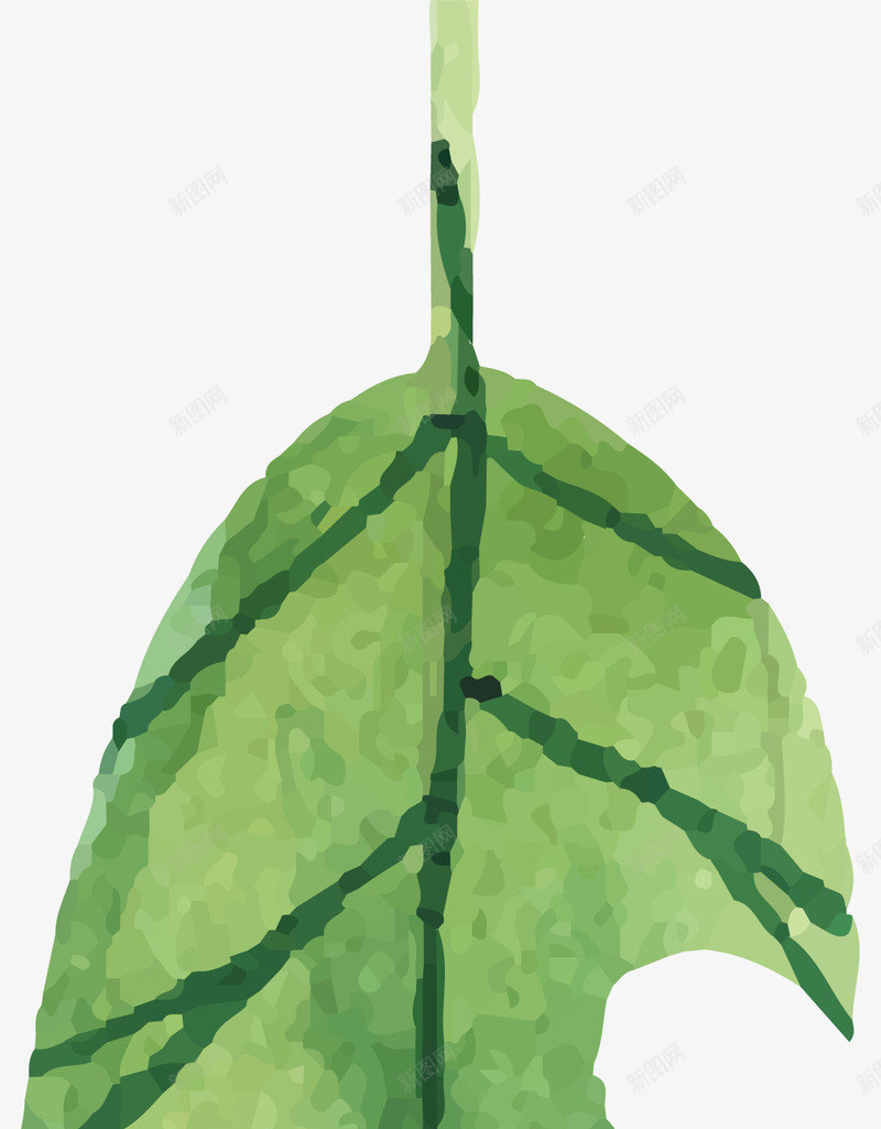 卡通水彩绿叶装饰画png免抠素材_新图网 https://ixintu.com 北欧风格 无框画 植物花卉 水彩叶子 绿叶 装饰画