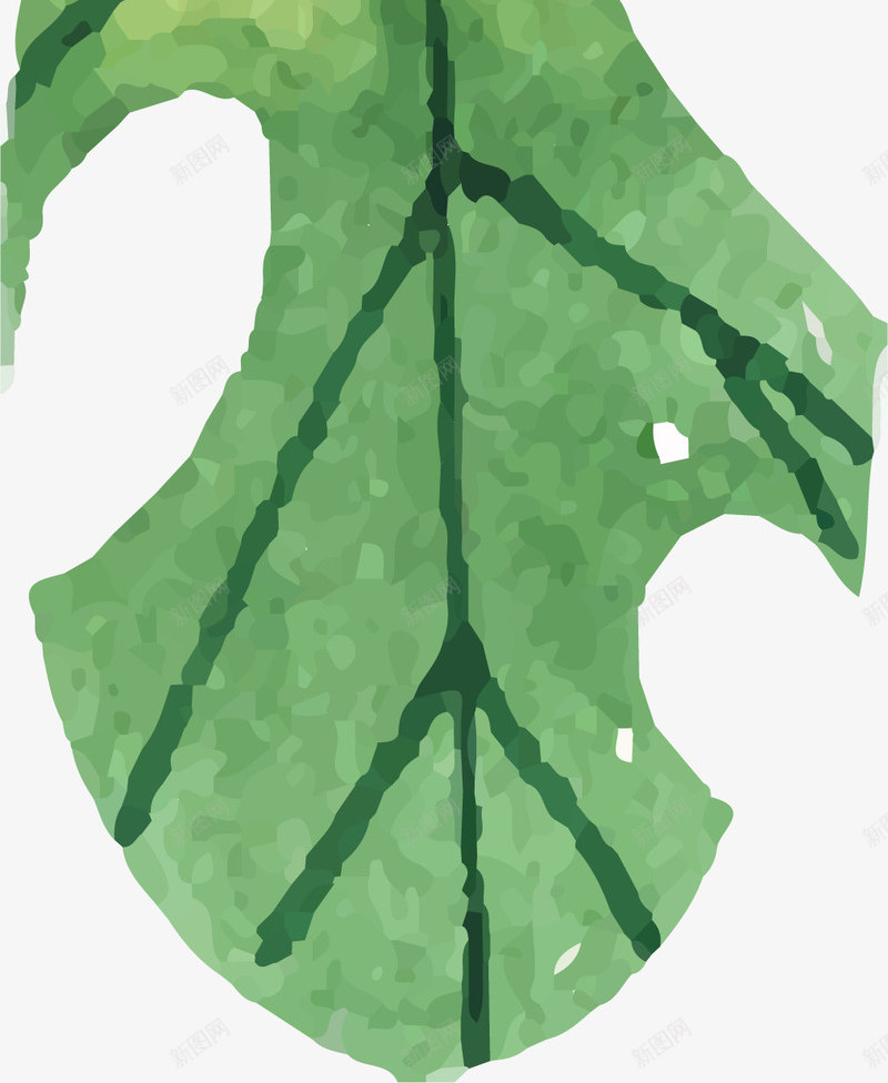 卡通水彩绿叶装饰画png免抠素材_新图网 https://ixintu.com 北欧风格 无框画 植物花卉 水彩叶子 绿叶 装饰画