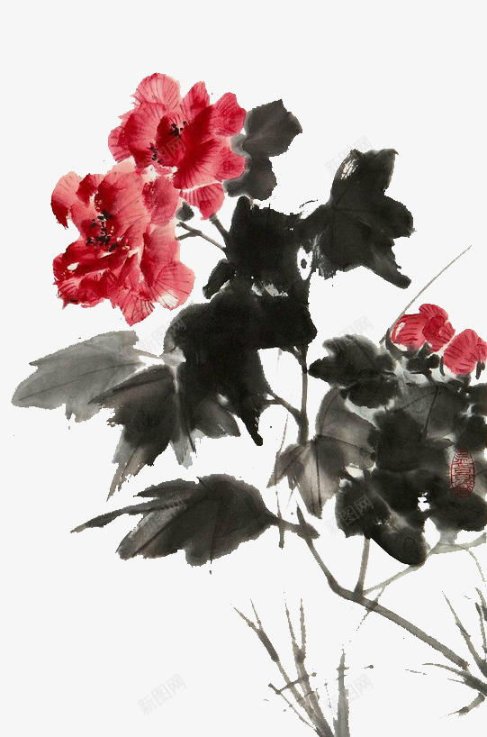 中国水墨画木芙蓉花png免抠素材_新图网 https://ixintu.com 中国风 墨色花 木芙蓉 水墨画 装饰