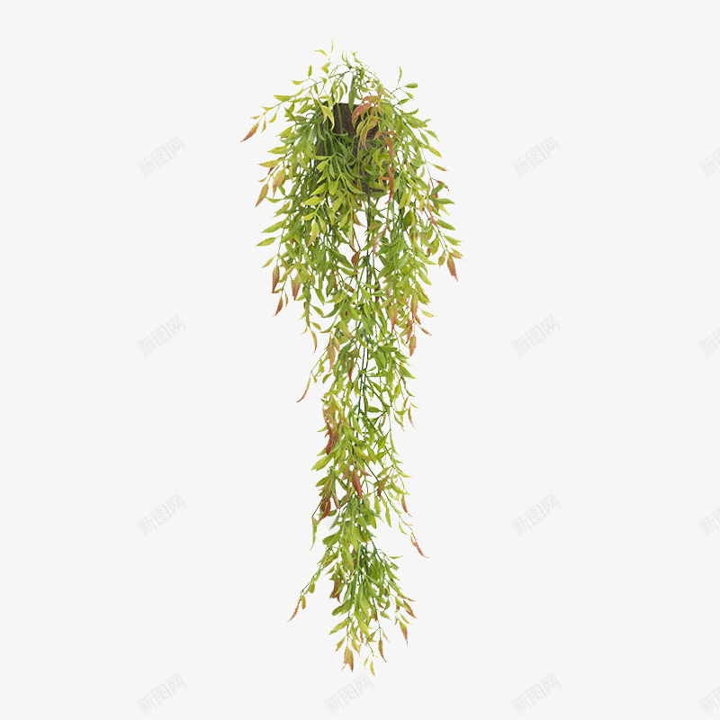 创意仿真藤蔓植物壁挂png免抠素材_新图网 https://ixintu.com 咖啡厅装饰品 墙挂件 墙面立体壁饰 复古装饰品