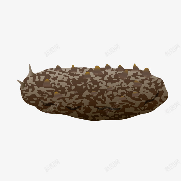 卡通石斑海参png免抠素材_新图网 https://ixintu.com 卡通海参 石斑海参 野生生物 食物食材