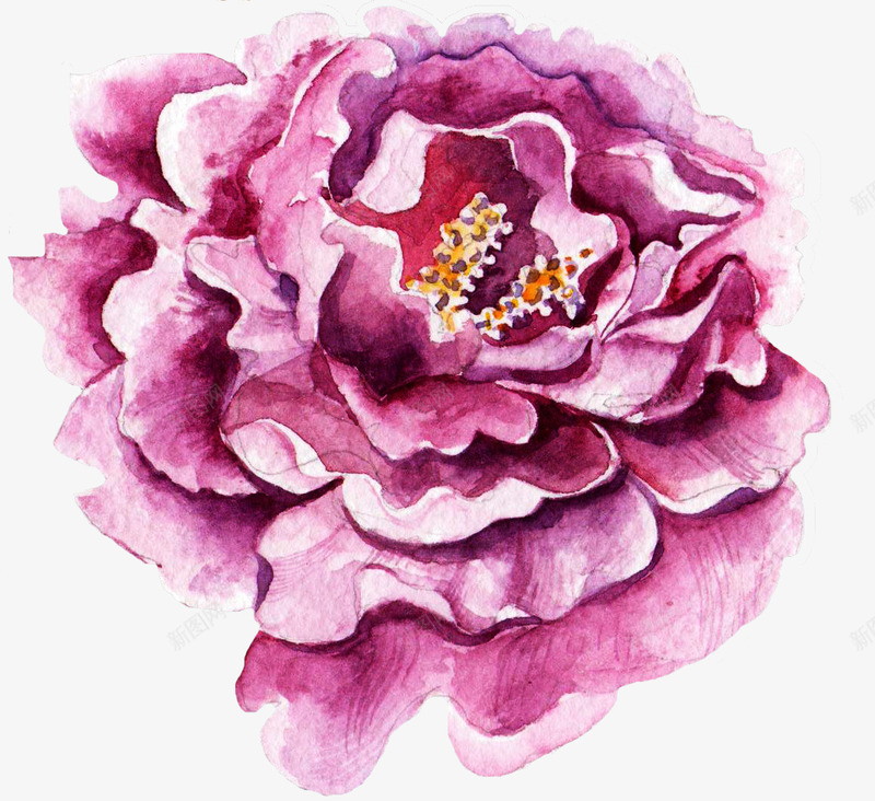 手绘水彩玫瑰花装饰元素png免抠素材_新图网 https://ixintu.com 婚礼卡片设计 手绘复古花边 手绘精致花边 水墨水彩花纹 浪漫水彩花朵 花边插画元素