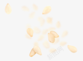 纯白色底纹里的粉色花瓣png免抠素材_新图网 https://ixintu.com 底纹 白色 粉色 花瓣