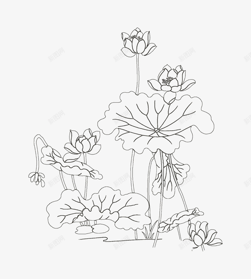 黑色中国风线条莲花装饰图案png免抠素材_新图网 https://ixintu.com 中国风 线条 荷叶 莲花 黑色