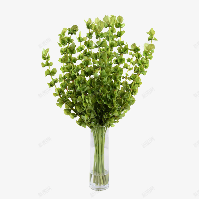 艺术造型插花花艺png免抠素材_新图网 https://ixintu.com 大气 概念方案装饰 精美 精致 美化艺术 软装 软装设计 软装配饰 高品质 高精度 高质量