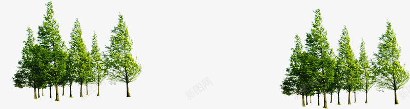 春季景观公园植物树林png免抠素材_新图网 https://ixintu.com 公园 春季 景观 树林 植物