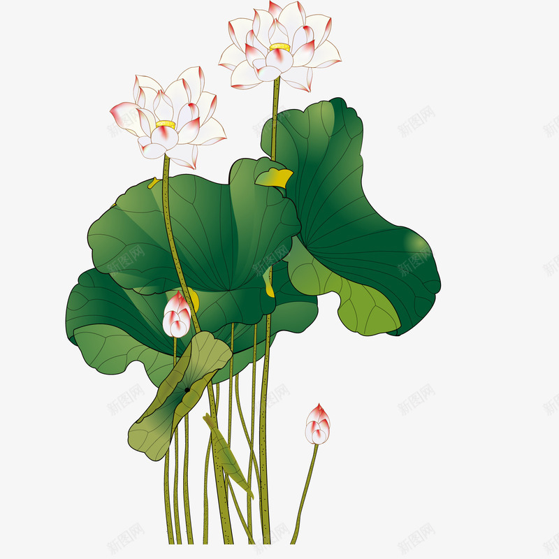 卡通中国风荷花矢量图ai免抠素材_新图网 https://ixintu.com 中国风 卡通 复古 手绘 植物设计 荷花 矢量图