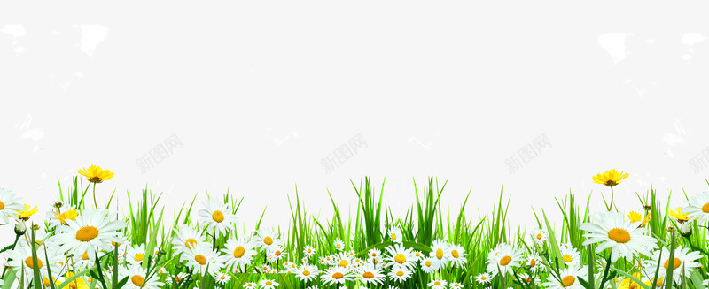 可爱路边雏菊小花野草png免抠素材_新图网 https://ixintu.com 可爱 小花 路边 野草 雏菊