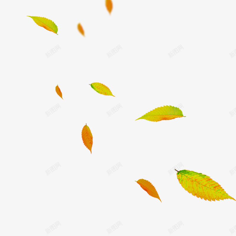 黄色简约树叶漂浮png免抠素材_新图网 https://ixintu.com 免抠PNG 就业部 树叶 漂浮素材 黄色