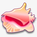 牡蛎贝壳png免抠素材_新图网 https://ixintu.com 牡蛎