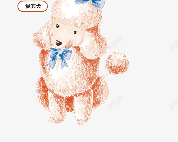 狗狗图鉴png免抠素材_新图网 https://ixintu.com PNG PNG免费下载 PNG图片 图鉴 小黄狗 松狮犬 腊肠犬 贵宾犬