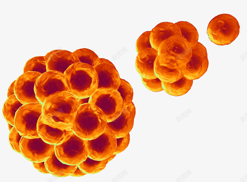 干细胞移植技术psd免抠素材_新图网 https://ixintu.com 先进科技 干细胞 生物技术 细胞移植