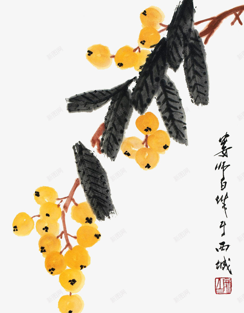 手绘国画枇杷枝png免抠素材_新图网 https://ixintu.com 中国画 国画枇杷 国画枇杷叶 手绘枇杷 手绘枇杷叶 枇杷叶 枇杷树