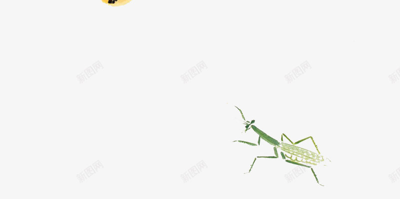 手绘国画枇杷枝png免抠素材_新图网 https://ixintu.com 中国画 国画枇杷 国画枇杷叶 手绘枇杷 手绘枇杷叶 枇杷叶 枇杷树