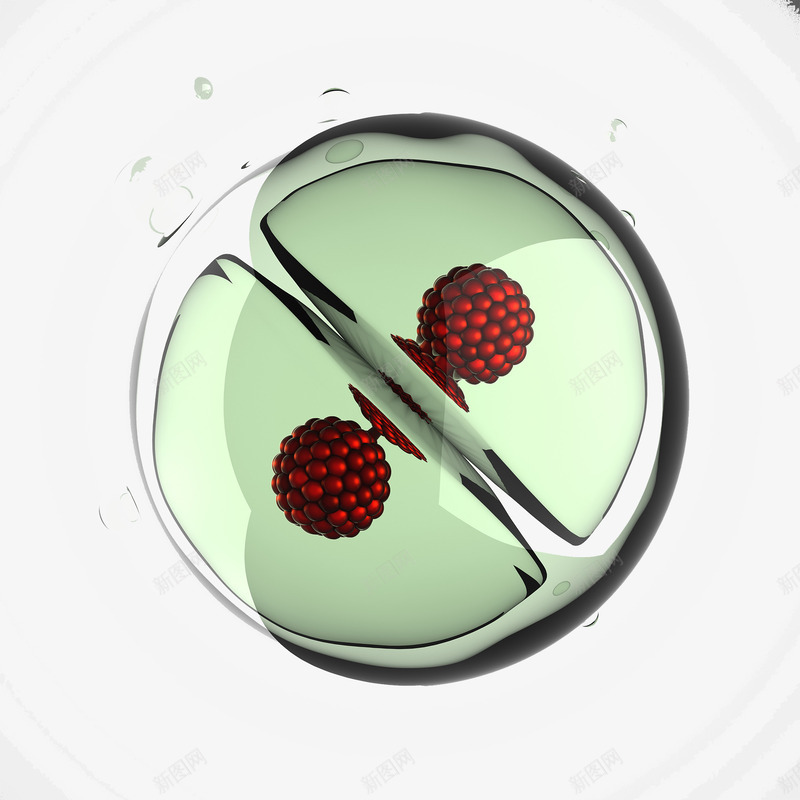 显微镜下的细胞真菌生物结构png免抠素材_新图网 https://ixintu.com 医疗 显微镜 生物 生物学 生物研究 真菌 细胞 细菌 高清大图