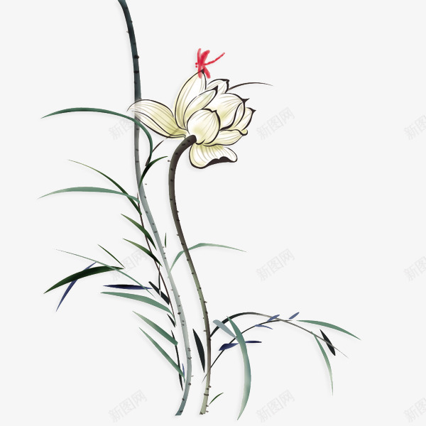 水墨荷花psd免抠素材_新图网 https://ixintu.com 中国风 水墨荷花 荷花 蜻蜓素材