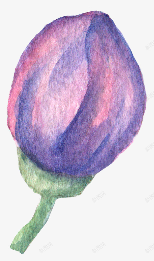 童话水墨手绘植物花卉png免抠素材_新图网 https://ixintu.com 北欧 小清新 手绘 故事插画 植物 水彩 童话 花朵 花苞 请柬装饰 贺卡装饰