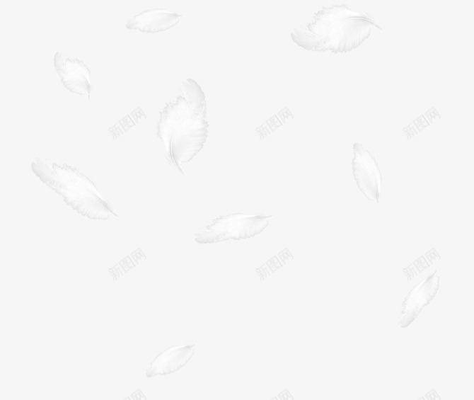 飘逸羽毛png免抠素材_新图网 https://ixintu.com png 羽毛 飘逸
