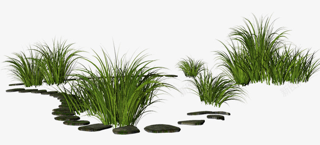 几簇小草png免抠素材_新图网 https://ixintu.com 几簇 小草png素材