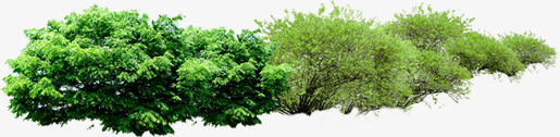 蓝天草地美景植物png免抠素材_新图网 https://ixintu.com 植物 美景 草地 蓝天