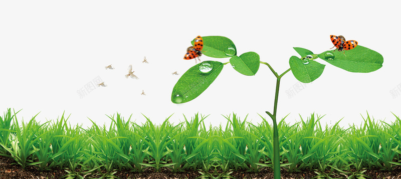 绿化小草psd免抠素材_新图网 https://ixintu.com 小草 成长 绿化 草地