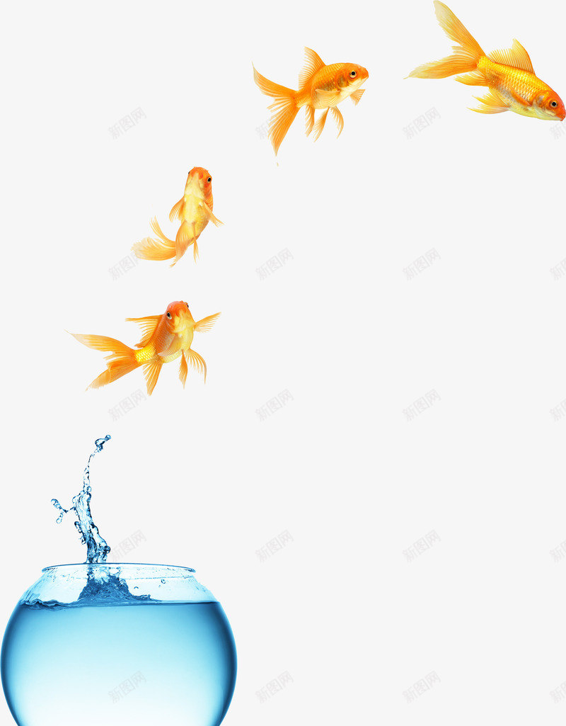 夏日金黄色小鱼水珠png免抠素材_新图网 https://ixintu.com 夏日 水珠 金黄色