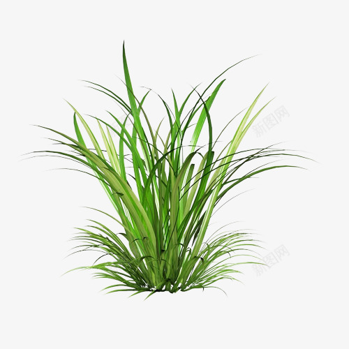 一堆绿草png免抠素材_新图网 https://ixintu.com 植物 绿色 绿草 草地
