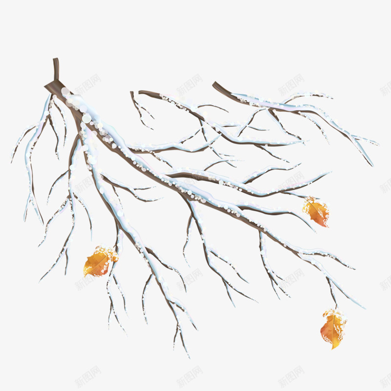 灰色大雪植物环境png免抠素材_新图网 https://ixintu.com 大雪 植物 渐变 灰色 环境 自然 落叶 雪字体 雪花 黄色